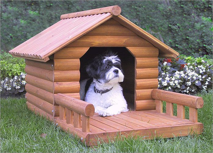 Chuồng chó - Hướng dẫn chọn mua chuồng và nhà cho chó
