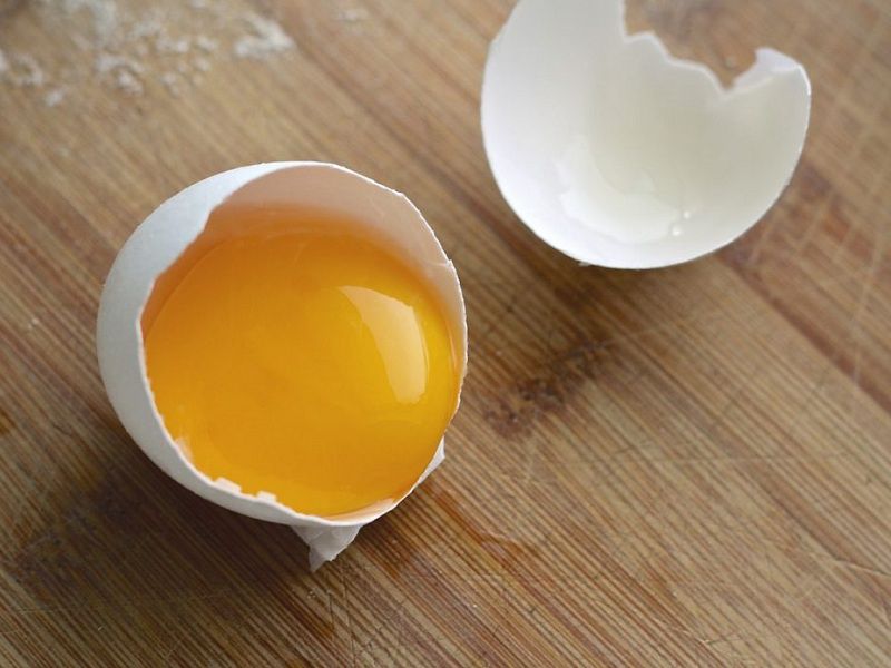 Có nên cho chó ăn trứng gà sống không? Cách cho chó ăn trứng gà sống 