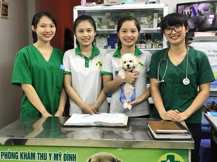 Các bệnh viện, phòng khám thú y uy tín, tốt nhất cho thú cưng ở Hà Nội
