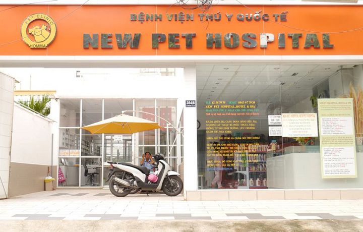 Các bệnh viện thú y, phòng khám thú y tốt nhất tại TP Hồ Chí Minh