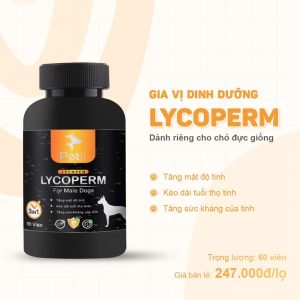 Gia vị dinh dưỡng dành riêng cho giống đực Lycoperm
